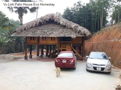 Vu Linh Palm House Eco Homestay