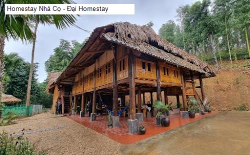 Homestay Nhà Cọ - Đại Homestay